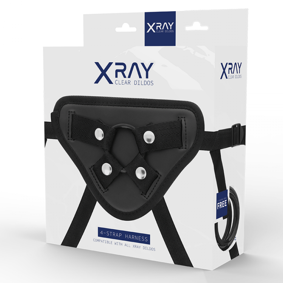 XRAY ARNÉS 6