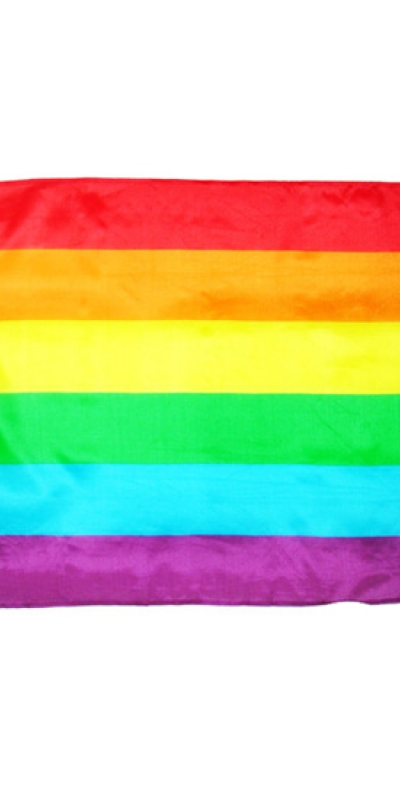 BANDERA ORGULLO 60 x 90 orgullo lgbt