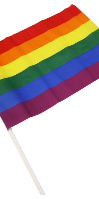 BANDERIN MEDIANO COLORES BANDE Banderín lgbt con colores vibrantes para celebraciones