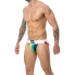 Tanga masculino con la bandera del orgullo